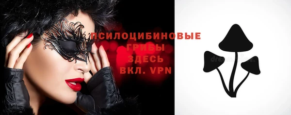 apvp Белокуриха