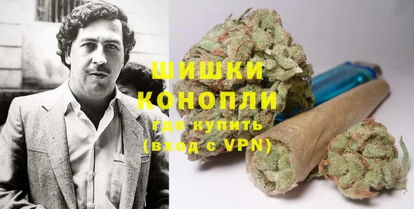apvp Белокуриха
