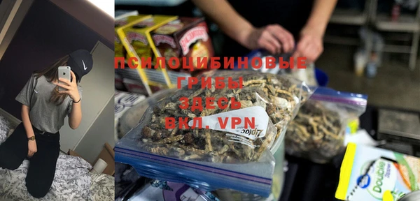 apvp Белокуриха