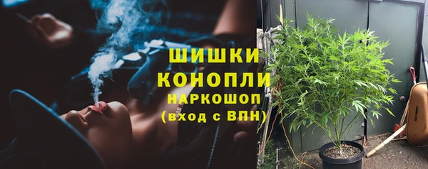 apvp Белокуриха
