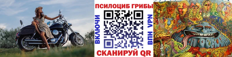 Галлюциногенные грибы Psilocybe  Кувандык 
